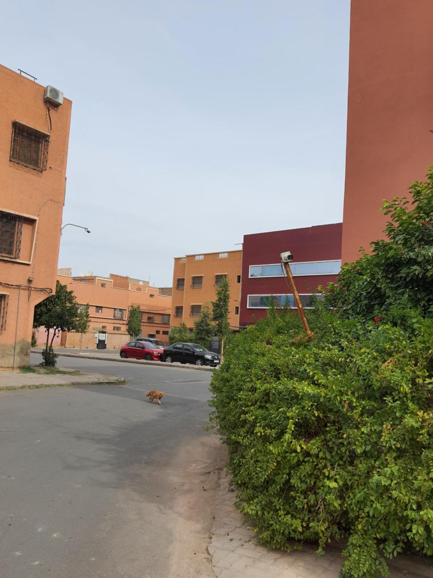 דירות מרקש Marrakech מראה חיצוני תמונה