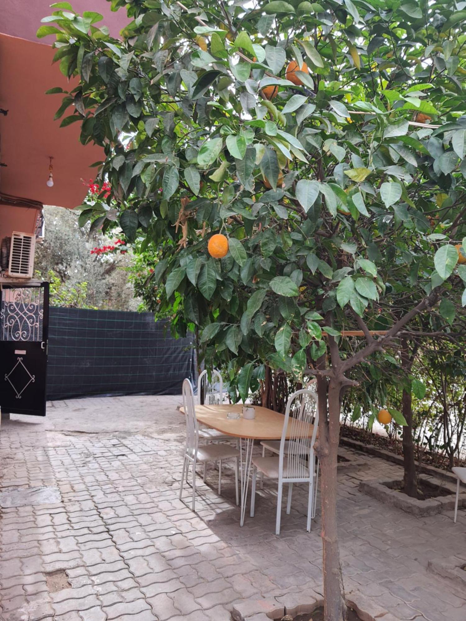 דירות מרקש Marrakech מראה חיצוני תמונה