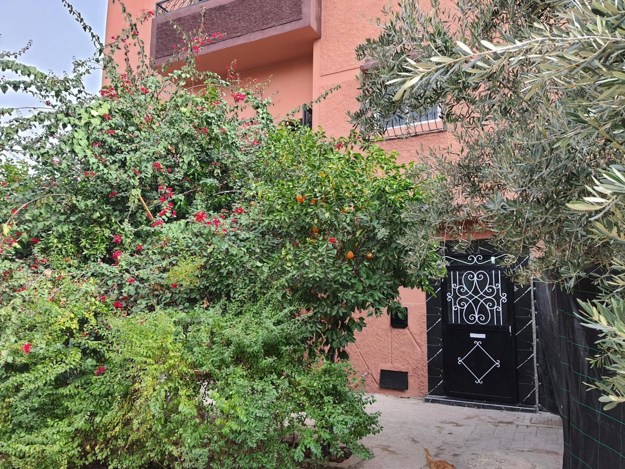 דירות מרקש Marrakech מראה חיצוני תמונה